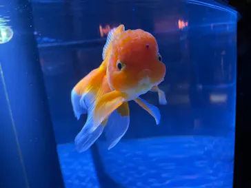 すみだ水族館に投稿された画像（2021/10/10）