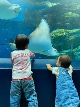 マクセル アクアパーク品川に投稿された画像（2021/10/10）