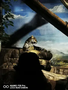 天王寺動物園に投稿された画像（2021/10/10）