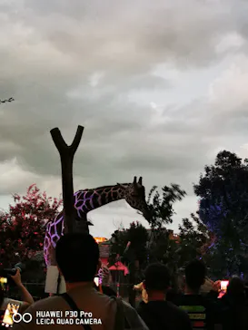 天王寺動物園に投稿された画像（2021/10/10）