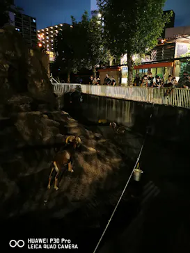 天王寺動物園に投稿された画像（2021/10/10）