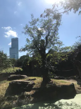 天王寺動物園に投稿された画像（2021/10/10）