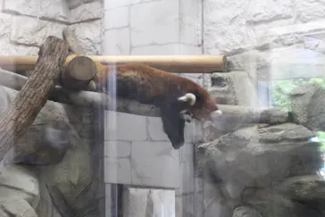 天王寺動物園に投稿された画像（2021/10/10）