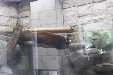 天王寺動物園に投稿された画像（2021/10/10）