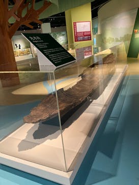 特別展「縄文2021―東京に生きた縄文人―」(江戸東京博物館）に投稿された画像（2021/10/10）