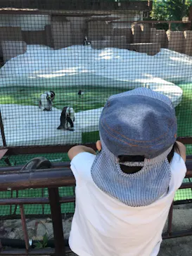 天王寺動物園に投稿された画像（2021/10/10）