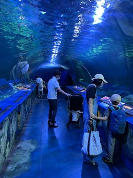 しながわ水族館に投稿された画像（2021/10/10）