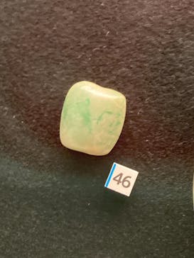 特別展「縄文2021―東京に生きた縄文人―」(江戸東京博物館）に投稿された画像（2021/10/10）