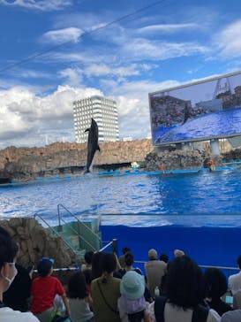名古屋港水族館に投稿された画像（2021/10/10）