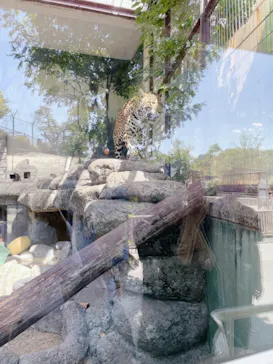 天王寺動物園に投稿された画像（2021/10/10）