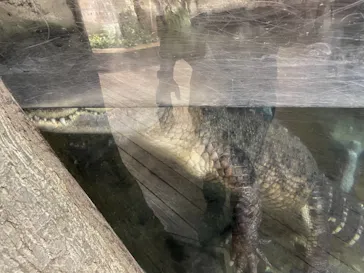 天王寺動物園に投稿された画像（2021/10/10）