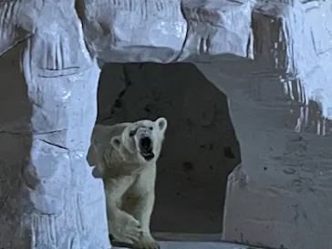 天王寺動物園に投稿された画像（2021/10/10）