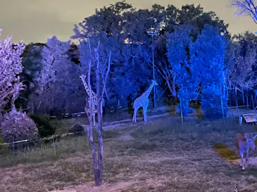 天王寺動物園に投稿された画像（2021/10/10）