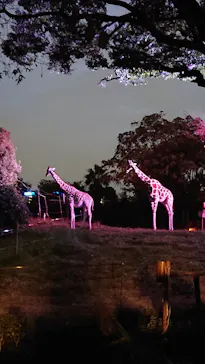 天王寺動物園に投稿された画像（2021/10/10）