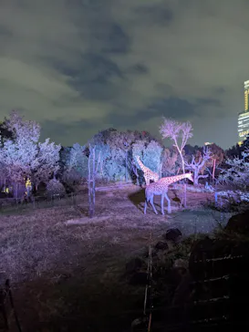 天王寺動物園に投稿された画像（2021/10/10）