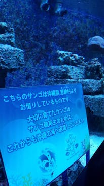 サンシャイン水族館に投稿された画像（2021/10/10）
