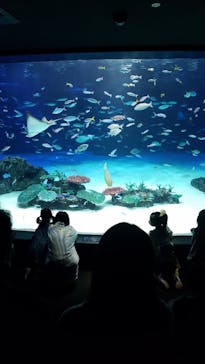 サンシャイン水族館に投稿された画像（2021/10/10）