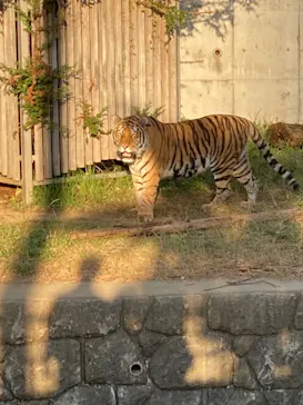 天王寺動物園に投稿された画像（2021/10/10）
