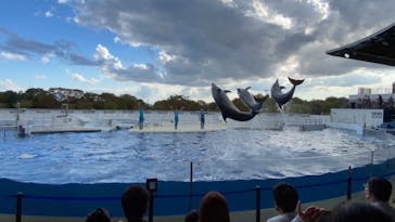 京都水族館に投稿された画像（2021/10/10）