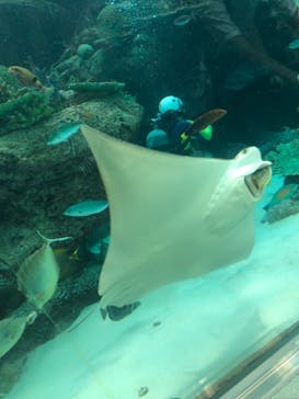 名古屋港水族館に投稿された画像（2021/10/10）