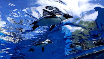 サンシャイン水族館に投稿された画像（2021/10/10）