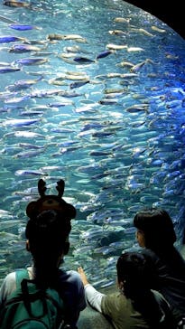 サンシャイン水族館に投稿された画像（2021/10/10）