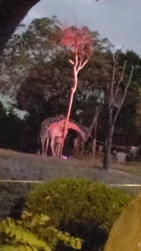 天王寺動物園に投稿された画像（2021/10/10）