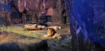 天王寺動物園に投稿された画像（2021/10/10）