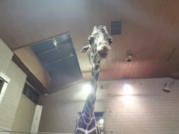 天王寺動物園に投稿された画像（2021/10/10）