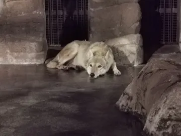 天王寺動物園に投稿された画像（2021/10/10）