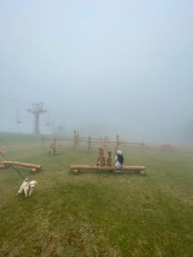 びわ湖バレイに投稿された画像（2021/10/10）