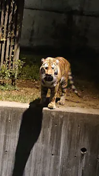 天王寺動物園に投稿された画像（2021/10/10）