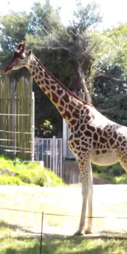 天王寺動物園に投稿された画像（2021/10/10）