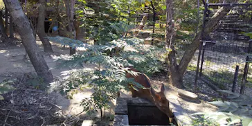 天王寺動物園に投稿された画像（2021/10/10）