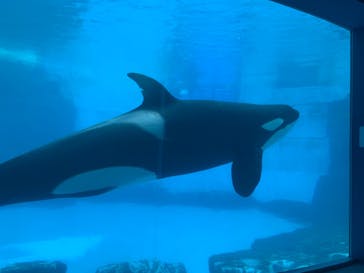 名古屋港水族館に投稿された画像（2021/10/10）