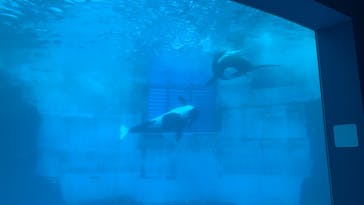 名古屋港水族館に投稿された画像（2021/10/10）