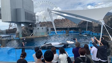 名古屋港水族館に投稿された画像（2021/10/10）