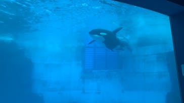 名古屋港水族館に投稿された画像（2021/10/10）