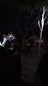 天王寺動物園に投稿された画像（2021/10/10）