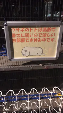 天王寺動物園に投稿された画像（2021/10/10）