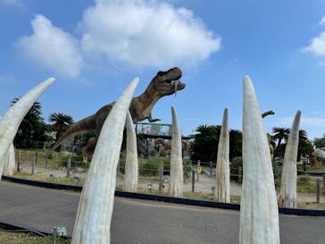 伊豆ぐらんぱる公園に投稿された画像（2021/10/10）