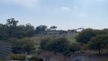 伊豆ぐらんぱる公園に投稿された画像（2021/10/10）