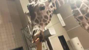 天王寺動物園に投稿された画像（2021/10/10）