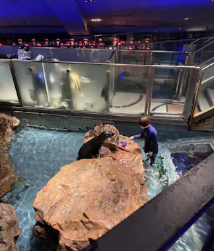 すみだ水族館に投稿された画像（2021/10/10）