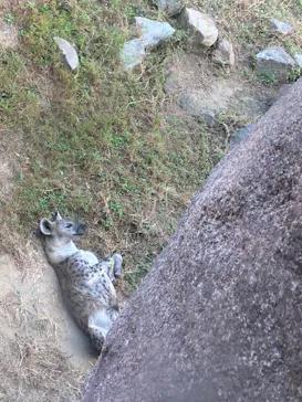 天王寺動物園に投稿された画像（2021/10/10）