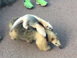 伊豆シャボテン動物公園に投稿された画像（2021/10/10）