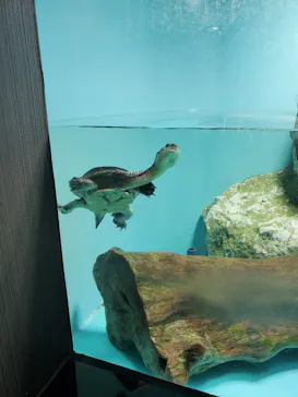 天王寺動物園に投稿された画像（2021/10/10）