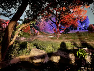 天王寺動物園に投稿された画像（2021/10/10）