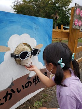 まかいの牧場に投稿された画像（2021/10/10）