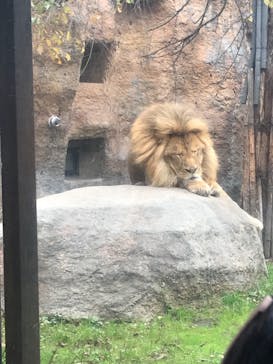 旭川市旭山動物園に投稿された画像（2021/10/10）